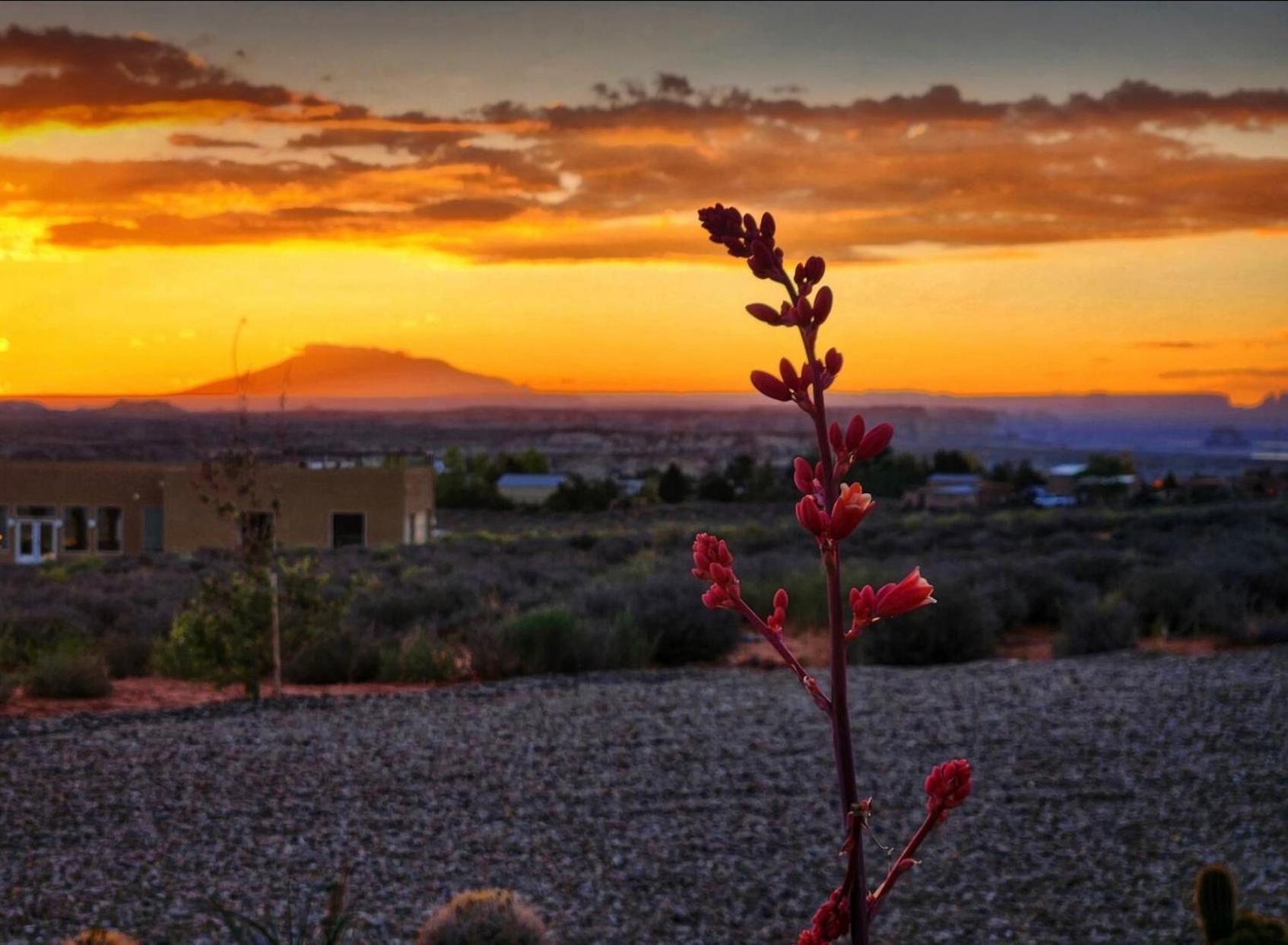 Page Arizona Border Town- Crimson Suite, Desert Canyon Getaway With Views Big Water Exteriör bild